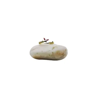 Iridescent Zircon Butterfly Ring κοσμηματα δαχτυλιδι Stylehub account κοσμηματα σκουλαρικια βραχιολι δαχτυλιδι κολιε About us κοσμηματα θεσσαλονικη γυναικεια κοσμηματα ατσαλινα κοσμηματα κοσμηματα που δεν μαυριζουν φθηνα κοσμηματα κοσμηματα μαργαριταρια